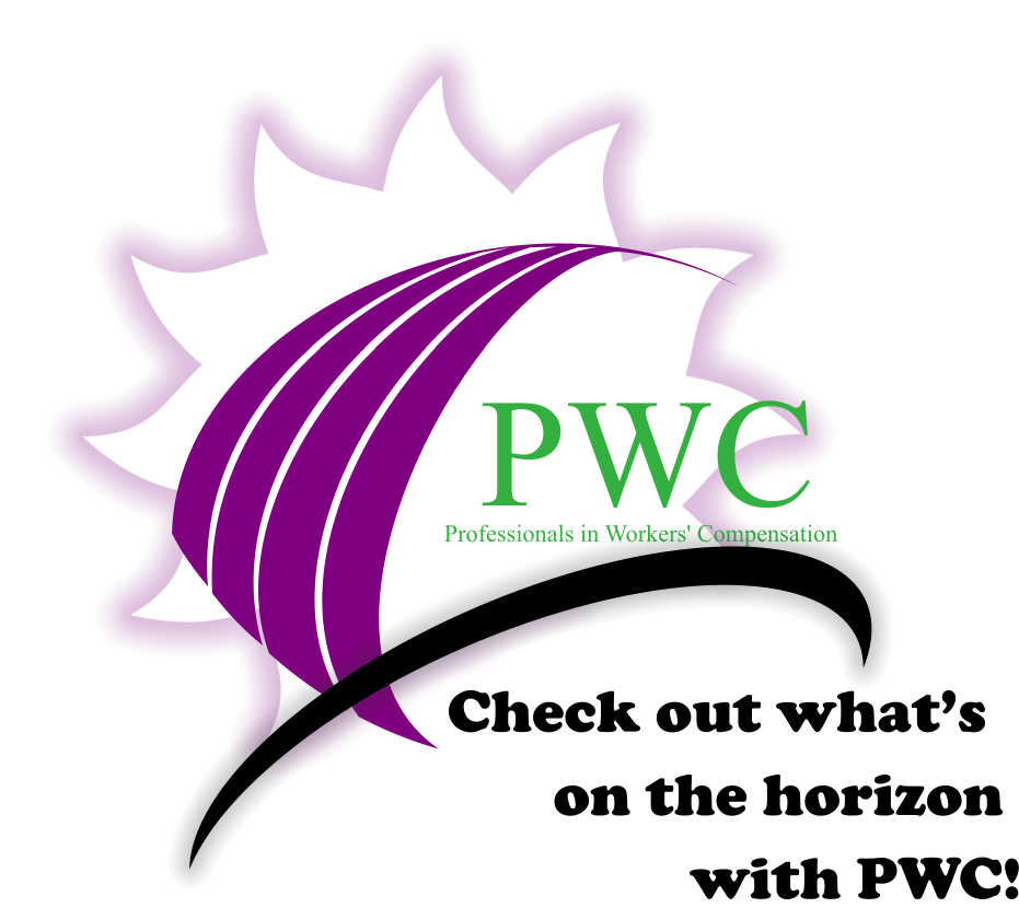 all-about-pwc-membership-sponsorship-2021-2022-professionals-in